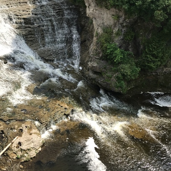 Meet your Posher, Ellie - Picture 1 of 1